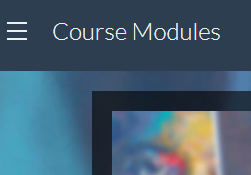 meera1.PNG